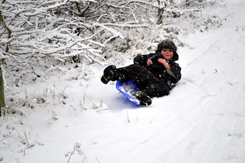 Sledging on Isle of Wight photo by Philip Bell Copyright 2013